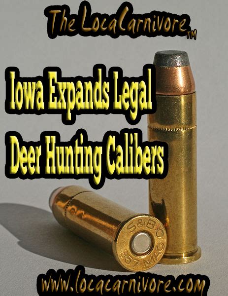 The bill quickly soared through the Iowa House and Senate and completed its journey in May. . Iowa deer hunting rifle calibers 2022